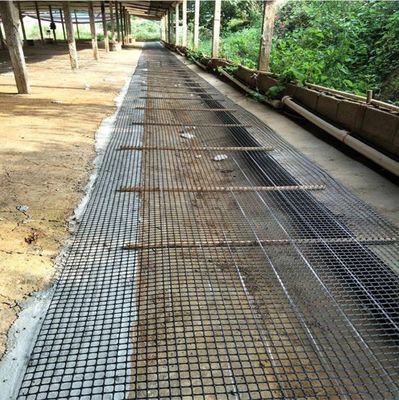 PP 3030KN Biaxial Geogrid für die Straßenbaubeschutzung 12,7*12,7 mm Maschengröße