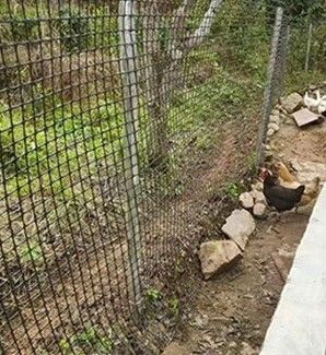 PP 3030KN Biaxial Geogrid für die Straßenbaubeschutzung 12,7*12,7 mm Maschengröße