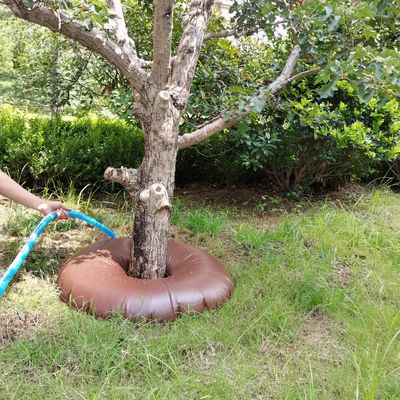 Verabschieden Sie sich von der Handbewässerung mit unserem 15/20 Gallonen langsam freigesetzten PVC-Bewässerungsring.