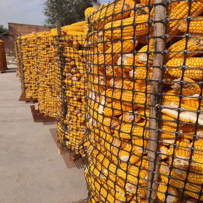 PP Biaxial Geogrid 40kn für Straßenverstärkung Elite Verkauf Schwarze Ausbildung Straße Geo Grids
