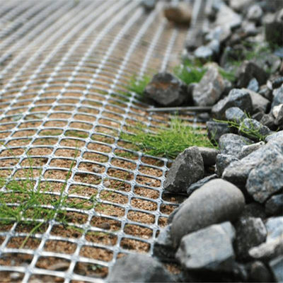 80-80 PET-Geogrid für die Verfestigung des Straßenabbaus und Ausbildung vor Ort