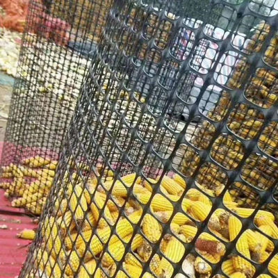 1-6 m Breite Biaksial PP Polypropylen Geogrid Verbundgewebe Geotextil für den Straßenabbau