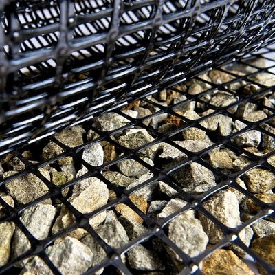 Inspektionsdienst vor Ort für Plastik-Geogrid, das in Beton- und Rasenpflastern mit 30/30kn verwendet wird