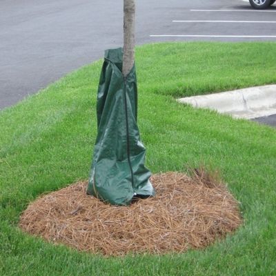 25 Gallonen 100L Langsam freigesetzter Baum Tropfbewässerungsbeutel Kunststoffmaterial WATER SAVE Vorteil
