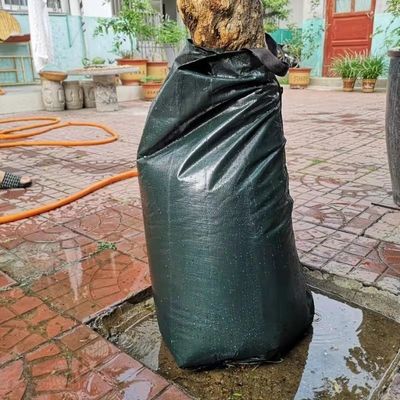 20 Gallonen langsam freigesetzter dunkelgrüner PE-PVC-Baumbewässerungspaket für eine effektive Bewässerung